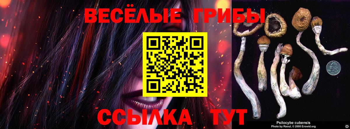 Псилоцибиновые грибы мухоморы Аша