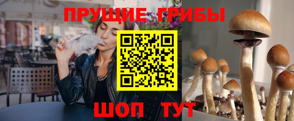 Галлюциногенные грибы мухоморы  Вход с VPN  Галлюциногенные грибы прущие грибы  Аша 